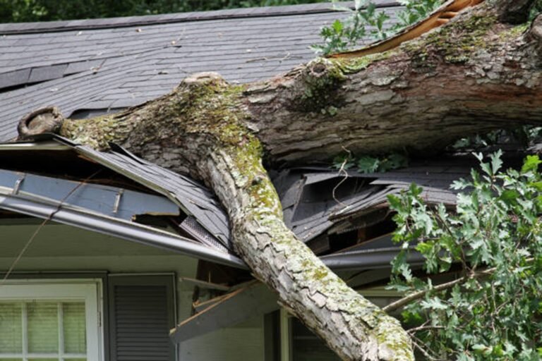 Is Tree Removal Covered by Homeowners Insurance in Chesterland, OH?