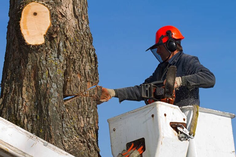 Do Tree Removal Companies in Chesterland Offer Free Estimates?