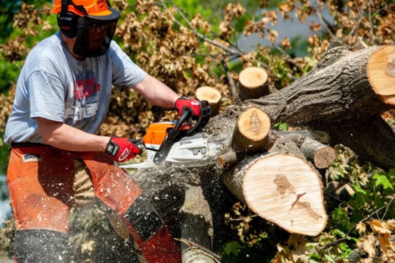 How Much Does Tree Removal Cost in Chesterland, OH?